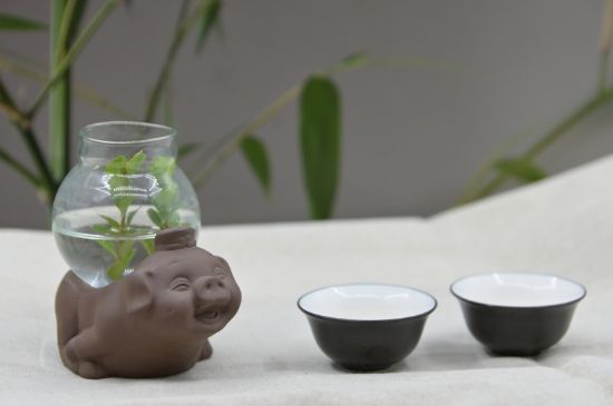 正確泡茶13個(gè)流程，新手從零開始學(xué)泡茶的步驟