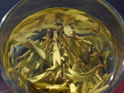 安吉白茶的功效與作用，簡單概括安吉白茶功效