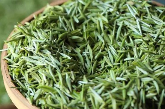 雀舌茶的沖泡方法，怎么沖泡雀舌茶？