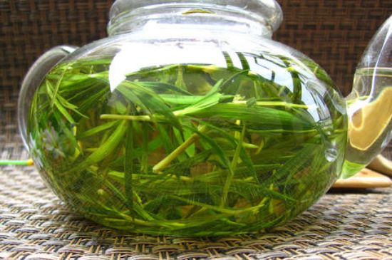 竹葉茶的禁忌，竹葉泡茶的功效禁忌