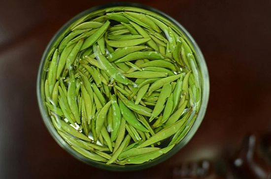 雀舌茶什么人不能喝，雀舌茶的功效與禁忌