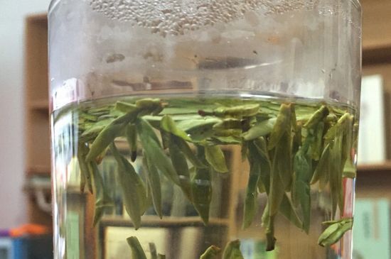 煮茶器能煮龍井嗎，龍井茶能不能用煮茶器圖