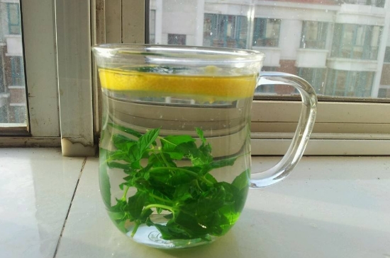 薄荷茶的功效與作用，喝薄荷茶有什么好處？