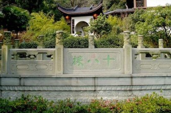 世界最貴的茶葉排行榜，十大最貴的茶