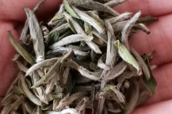 如何買茶葉不上當，怎么買茶葉不被坑？