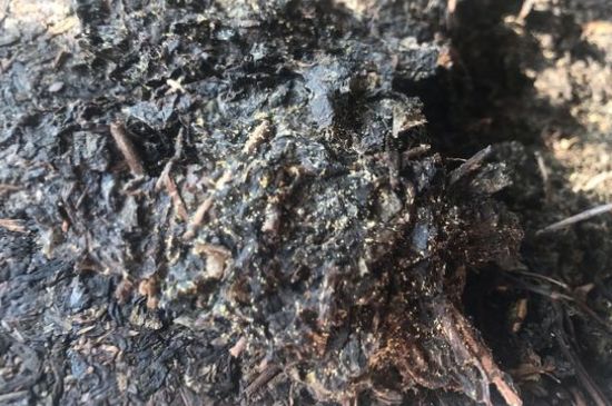 茯茶可以放在冰箱里存放嗎，茯磚茶如何儲(chǔ)存？