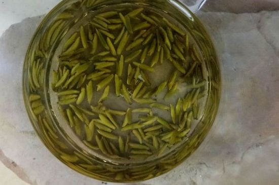 茶葉在哪里買比較好，哪里能買到好的茶葉