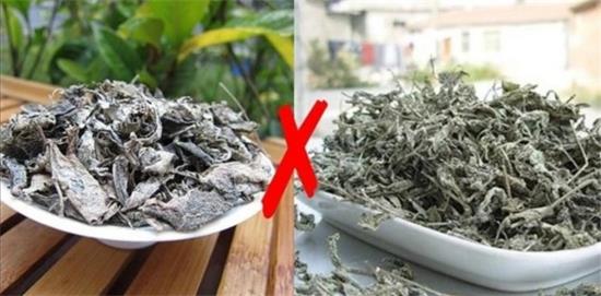 張家界茅巖莓茶與藤茶是同一種茶嗎，藤茶跟莓茶一不一樣？