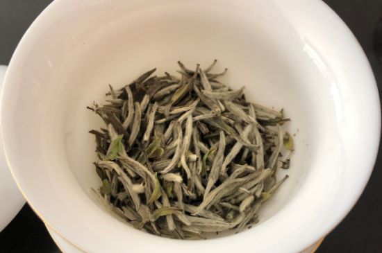 春茶上市白茶的好壞怎么區(qū)分，春白茶怎么分辨好不好？
