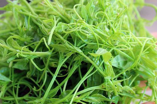 茅巖莓茶別名是什么，莓茶別名叫藤茶嗎？