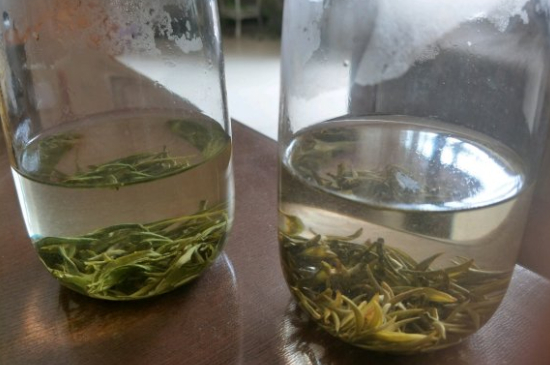 真假碧螺春泡水后區(qū)別，蘇州洞庭碧螺春怎樣鑒別好壞？