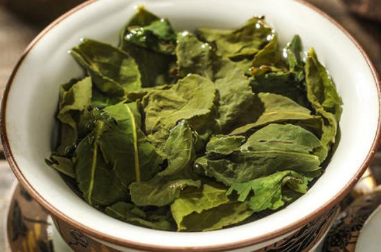 陳茶還是新茶好，茶葉是新茶好喝還是陳茶好喝