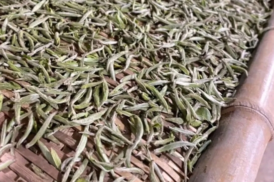 過期茶葉的八大妙用，過期的陳茶葉還能干什么用？
