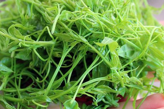 茅巖莓茶保質(zhì)期有多久，張家界莓茶存放時間長了還能喝嗎？