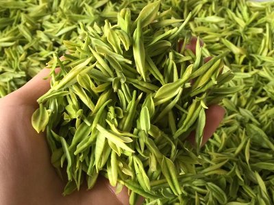 白茶品質(zhì)如何區(qū)分，白茶的優(yōu)劣質(zhì)量辨別方法