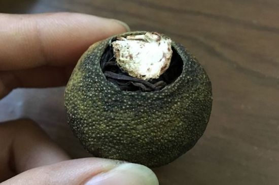 怎么知道小青柑是真的假的圖片，如何區(qū)分真假新會(huì)小青柑