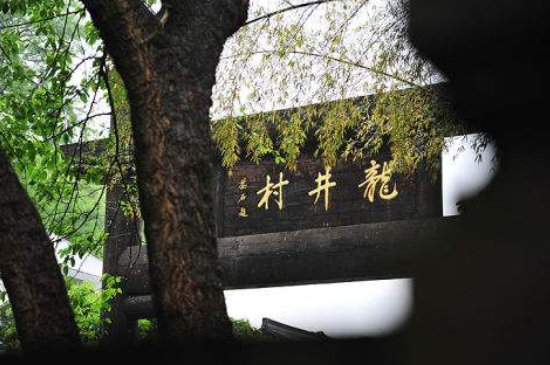 杭州買龍井茶攻略，怎么買到正宗的西湖龍井？