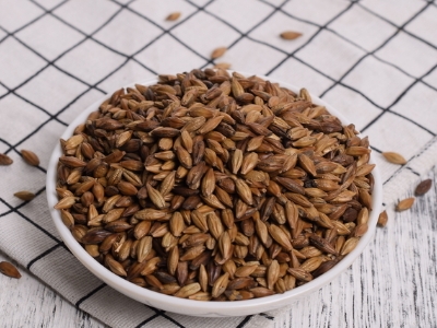 圓形顆粒狀茶是什么茶，像飼料一樣一粒粒的是什么茶？