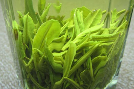 哪種茶葉可以放冰箱，哪些茶不能放冰箱？