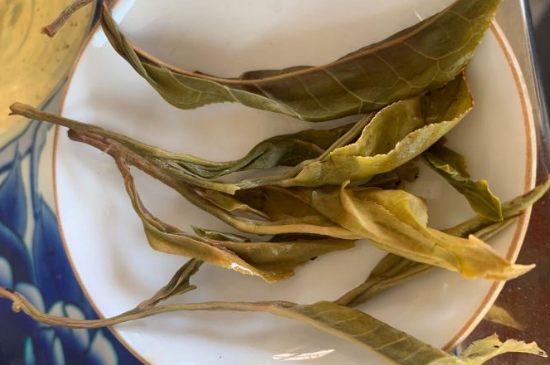 普洱茶十大學(xué)費(fèi)茶排名，吉普H是學(xué)費(fèi)茶？