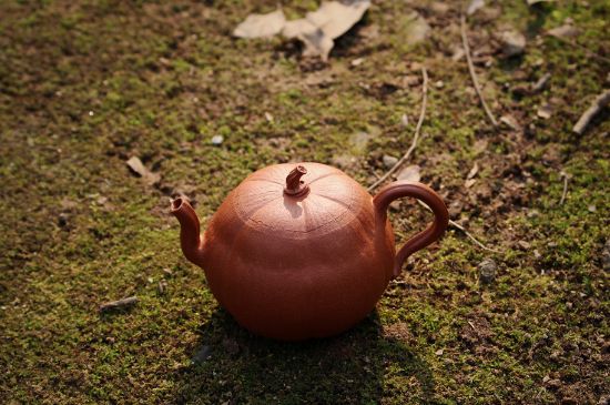 紫砂壺泡什么茶最佳，紫砂壺一般泡什么茶？