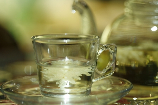 菊花茶天天喝行嗎，每天喝菊花泡茶喝好嗎？