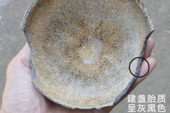 假建盞的特點(diǎn)，真假建盞區(qū)分帶圖