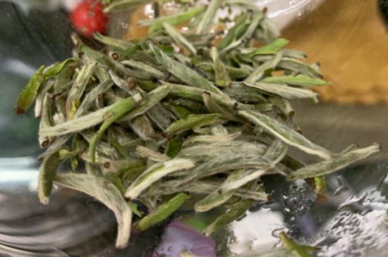 蒸汽煮茶器適合什么茶，蒸汽煮茶器適合用綠茶嗎？