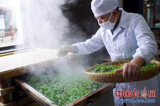 炒青綠茶與綠茶的區(qū)別，烘青和炒青哪個(gè)好喝？