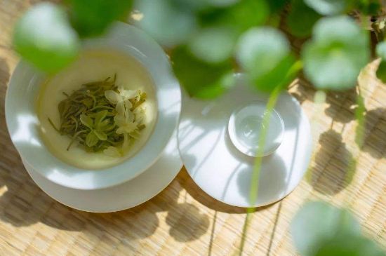 茉莉花茶6種人不要喝，什么體質(zhì)不適合喝茉莉花茶？