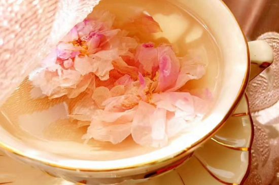 玫瑰花茶一周喝幾次，玫瑰花茶可以天天喝嗎？