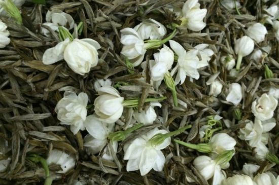 茉莉銀針口感，茉莉銀針是什么味道？