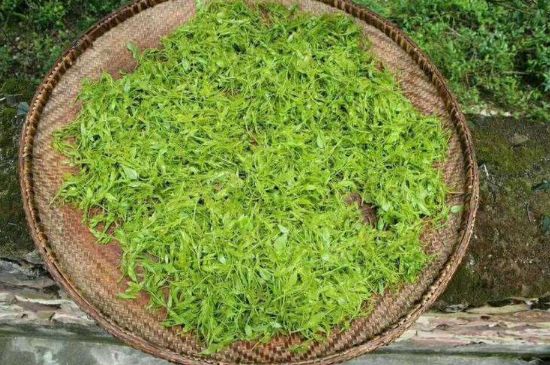 茅巖莓茶加工工藝，莓茶的工藝制作過程