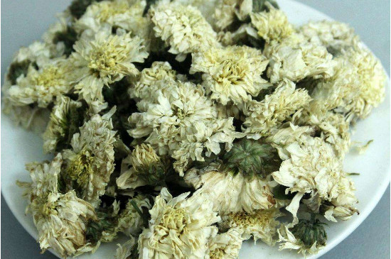 菊花茶買(mǎi)小朵還是大朵，泡茶用的小菊花和大菊花哪個(gè)好
