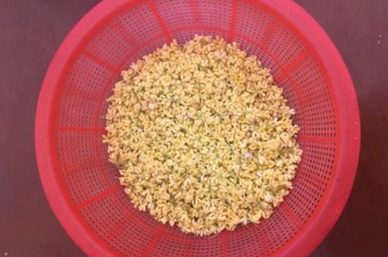 干桂花茶的制作方法，怎樣自制桂花茶？