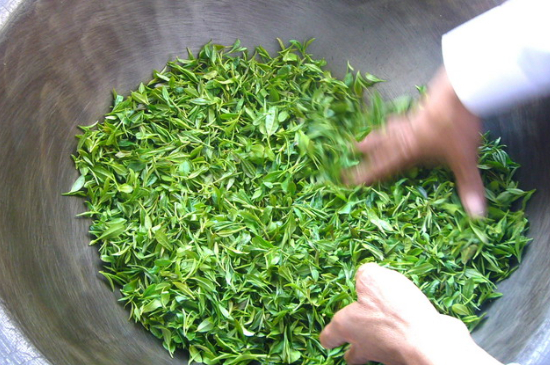 綠茶加工工藝流程圖，綠茶的加工制作包含哪幾個步驟？