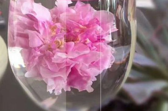 干玫瑰花泡水放幾顆，玫瑰花泡水一次放幾朵？