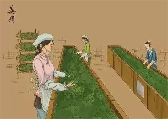 制茶八步驟，制茶工藝流程圖