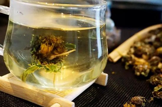 蒲公英最佳搭配，蒲公英茶和什么搭配泡水最佳