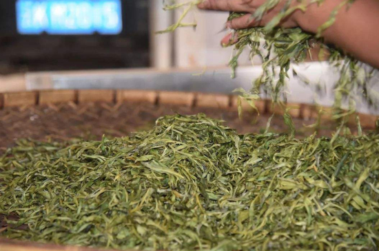 炒青綠茶與綠茶的區(qū)別，烘青和炒青哪個(gè)好喝？