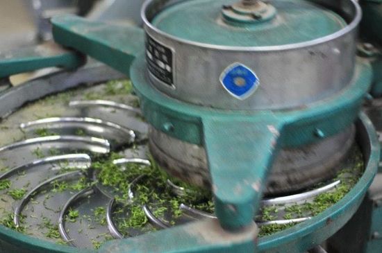 武夷巖茶的初制、精制加工工藝詳細講解