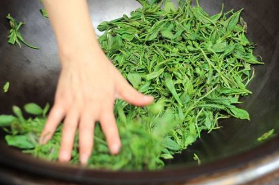 炒青綠茶與綠茶的區(qū)別，烘青和炒青哪個(gè)好喝？