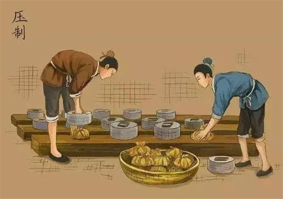 制茶八步驟，制茶工藝流程圖
