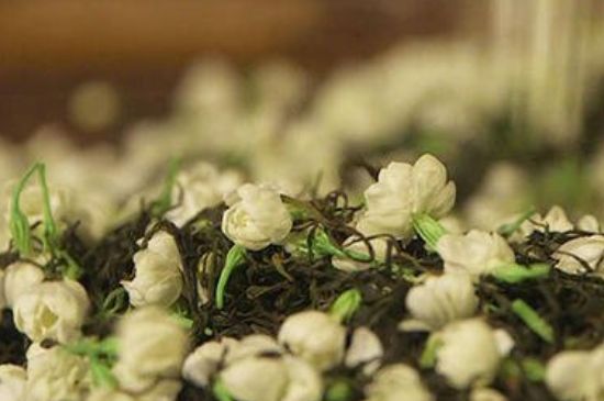 蒸茶器可以蒸花茶嗎，蒸茶器能用來蒸茉莉花茶嗎？