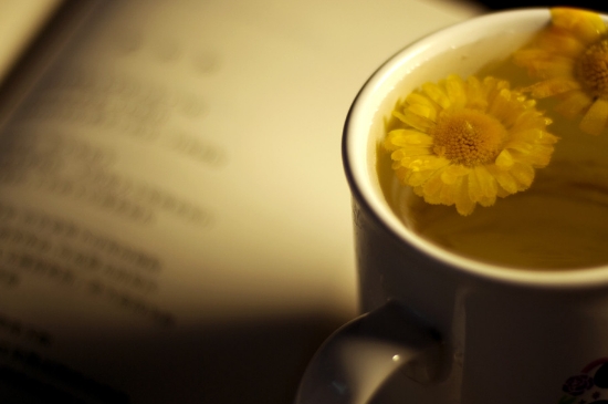 經(jīng)常菊花泡水好嗎，喝菊花茶有什么好處？