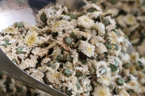 菊花茶買(mǎi)小朵還是大朵，泡茶用的小菊花和大菊花哪個(gè)好