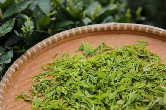 炒青綠茶與綠茶的區(qū)別，烘青和炒青哪個(gè)好喝？