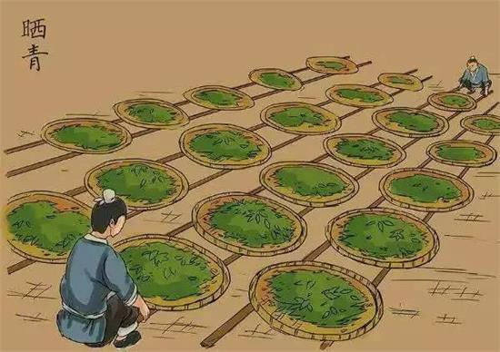 制茶八步驟，制茶工藝流程圖