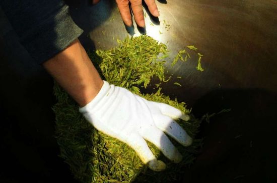 茶葉怎么炒制才香，怎樣炒茶葉更香？