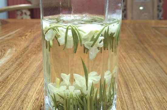 女孩喝茉莉茶的好處，茉莉茶葉的功效與禁忌